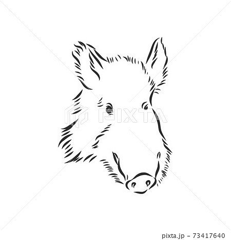 Sketch grunge wild boar in the profile.Stock vector illustration., wild boar vector sketch illustration 73417640