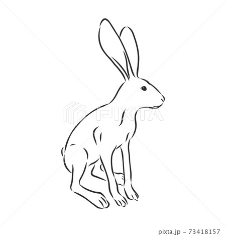 Vector Image Of Hare Silhouette Hare Vector のイラスト素材