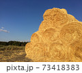 Huge straw piles of hay roll bales on among harvested area. 73418383