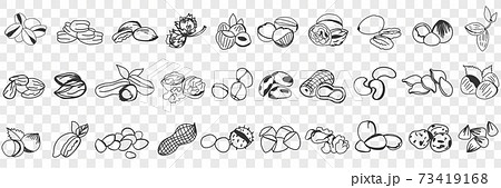 Various edible nut doodle set 73419168