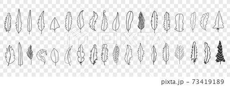Various bird feathers doodle set Various bird feathers doodle set 73419189