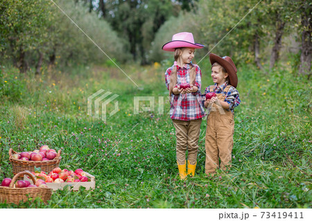 A boy and a girl in bovboyskih hats are involved in the autumn collecting apples. A boy and a girl in bovboyskih hats are involved in the autumn collecting apples. 73419411