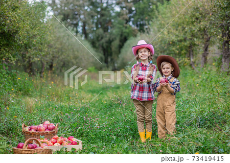 A boy and a girl in bovboyskih hats are involved in the autumn collecting apples. A boy and a girl in bovboyskih hats are involved in the autumn collecting apples. 73419415