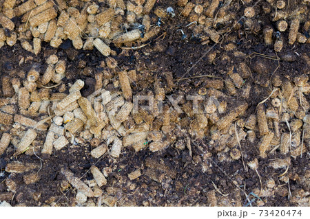 Compost Fertilizer or terreau made of corn cob arrange as Pile Compost Fertilizer or terreau made of corn cob arrange as Pile 73420474