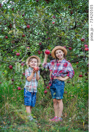 Portrait of a brother and sister in the garden with red apples. Portrait of a brother and sister in the garden with red apples. 73420505