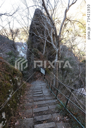 茨城 大子 袋田自然研究路 茨城 大子 袋田自然研究路 73421930