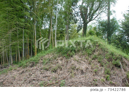 蝦夷(えびす)城跡南側に残る土塁の一部(静岡県富士市) 蝦夷(えびす)城跡南側に残る土塁の一部(静岡県富士市) 73422786