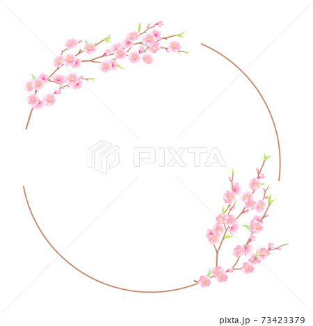 華やかな桃の花のサークルフレームベクターイラストのイラスト素材