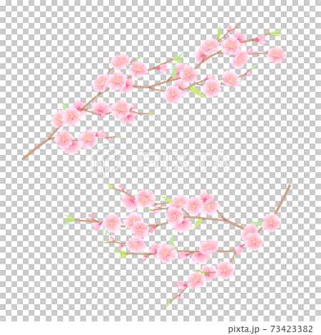 華やかな桃の花のベクターイラスト 73423382