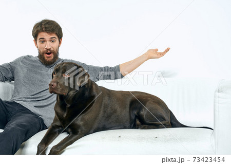 man with a black dog on a white sofa on a light background close-up cropped view pet human friend emotions fun man with a black dog on a white sofa on a light background close-up cropped view pet human friend emotions fun 73423454
