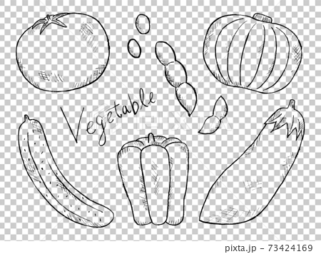 野菜やベジタブルの白黒手書きイラストイメージのイラスト素材