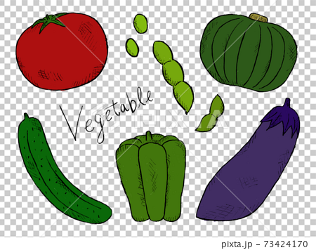 野菜やベジタブルの手書きイラストイメージのイラスト素材