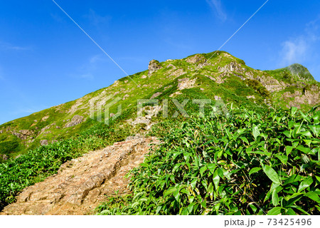 快晴の空と谷川岳西黒尾根登山道と隈笹 快晴の空と谷川岳西黒尾根登山道と隈笹 73425496