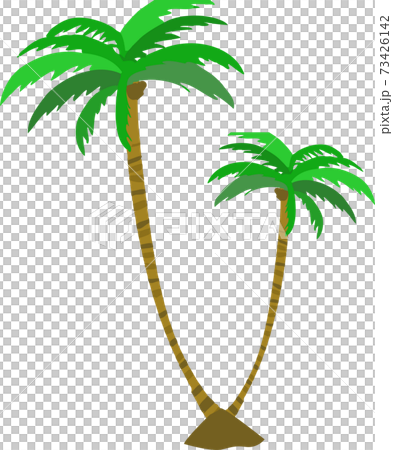 Cute palm tree 73426142