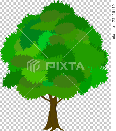 新鮮綠樹與葉子 73426159