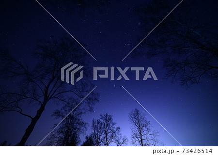 星空と木々の風景 星空と木々の風景 73426514