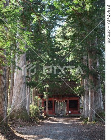 早春の戸隠神社 随神門 早春の戸隠神社 随神門 73426623