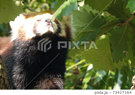 陽射しが暖かいなぁ～ 73427164