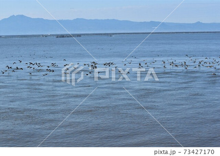 満潮の有明海 満潮の有明海 73427170