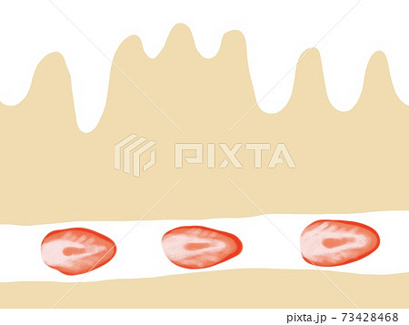 いちごのショートケーキの断面の背景素材のイラスト素材