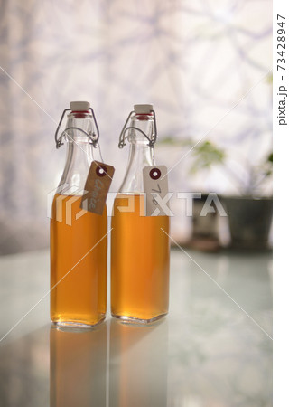 コンブチャ 73428947