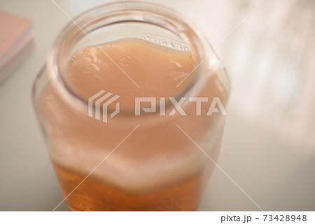 コンブチャ 73428948