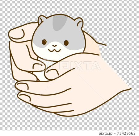 Hamster illustration: How to hold a hamster 73429562