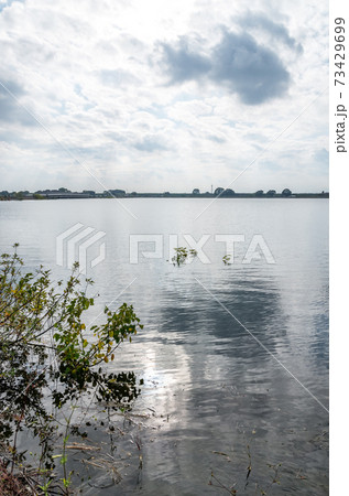 渡良瀬遊水池 73429699