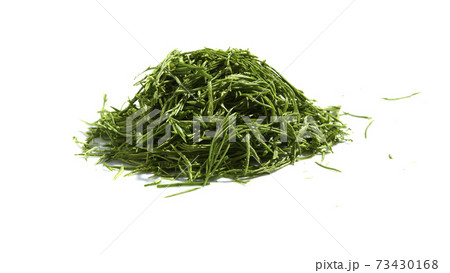 acacia pennata or climbing wattle vegetab on white 73430168