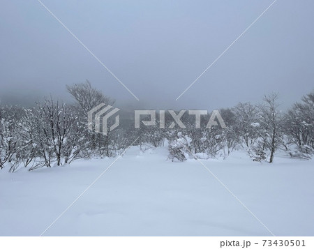 福島県のアルツ磐梯スキー場の雪景色 福島県のアルツ磐梯スキー場の雪景色 73430501