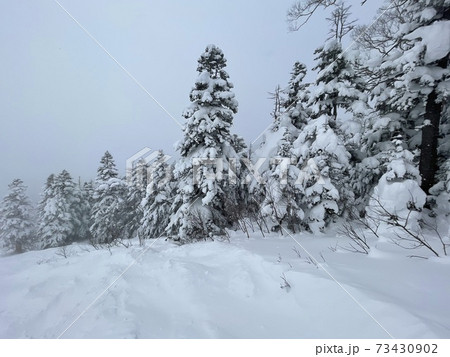 福島県のグランデコスキーリゾートのゲレンデ 73430902