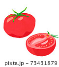 トマトイラスト tomato illustration vector 73431879
