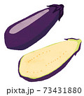 なすイラスト eggplant illustration vector 73431880