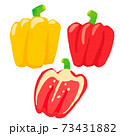 パプリカイラスト bell pepper illustration vector 73431882