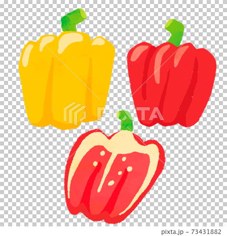 Paprika illustration bell pepper illustration vector Paprika illustration bell pepper illustration vector 73431882