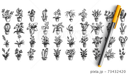Houseplants doodle set Houseplants doodle set 73432420