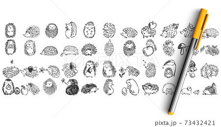 Hedgehogs doolde set 73432421