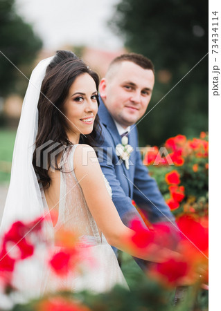 Kissing wedding couple in nature close-up portrait Kissing wedding couple in nature close-up portrait 73434114