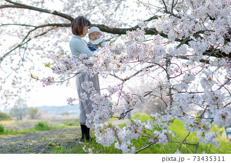 家族写真 桜 花見 家族写真 桜 花見 73435311