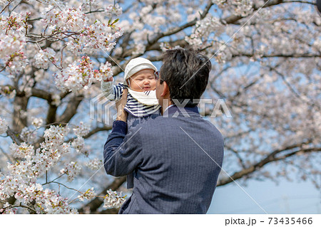花見 乳児とお爺ちゃん 花見 乳児とお爺ちゃん 73435466