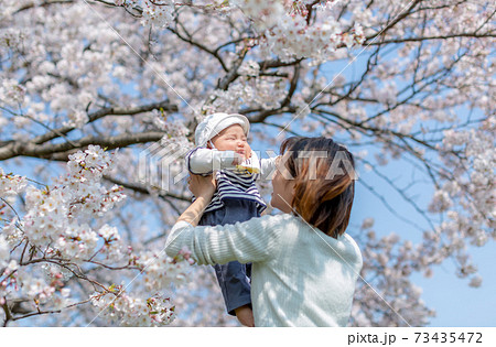 家族写真 桜 花見 家族写真 桜 花見 73435472