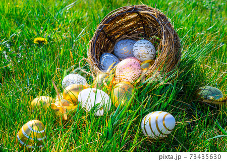 Easter egg hunt. Golden egg with yellow spring flowers in celebration basket on green grass background. Easter hunt concept. 73435630