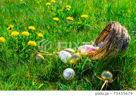 Easter eggs bunny. Golden egg with yellow spring flowers in celebration basket on green grass background. Traditional decoration in sun light. Easter eggs bunny. Golden egg with yellow spring flowers in celebration basket on green grass background. Traditional decoration in sun light. 73435679