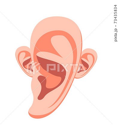 Vector ear in graphic style. Digital art 73435834