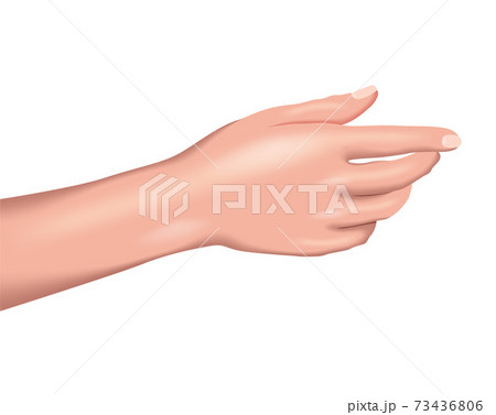 Vector wrist in gradient stye. Digital art Vector wrist in gradient stye. Digital art 73436806