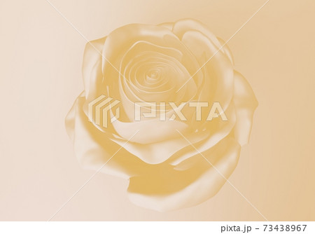 one elegant light yellow rose, 3d render 73438967