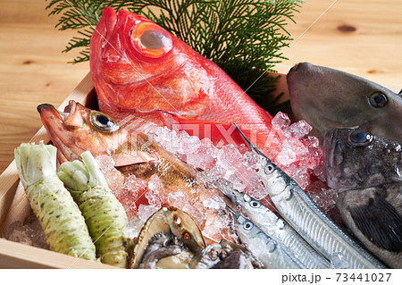 鮮魚盛り合わせ 鮮魚盛り合わせ 73441027