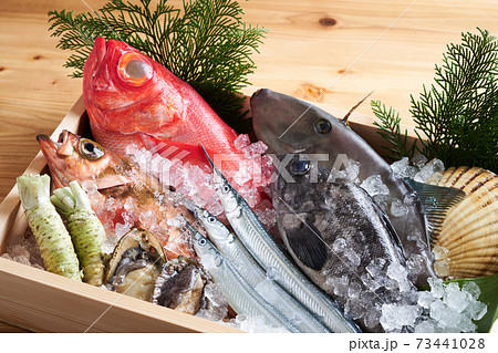 鮮魚盛り合わせ 73441028