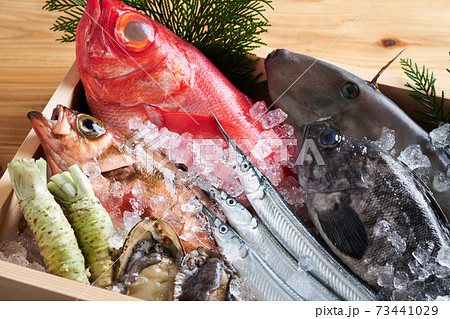 鮮魚盛り合わせ 73441029