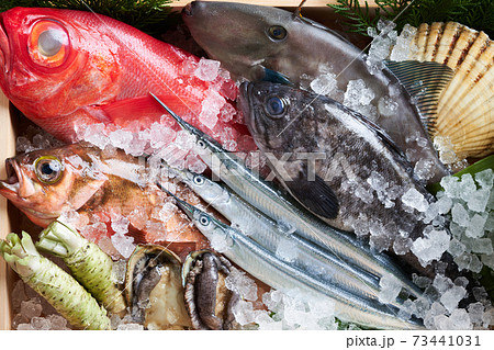 鮮魚盛り合わせ 73441031
